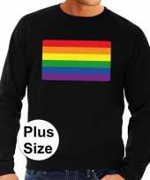 Grote maten gay pride regenboog vlag sweater zwart heren shirt